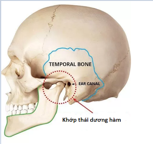 Đau xương hàm: Nguyên nhân, triệu chứng và 3 cách điều trị