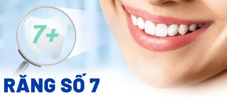 Chi Phí Trám Răng Số 7 Yếu Tố Ảnh Hưởng