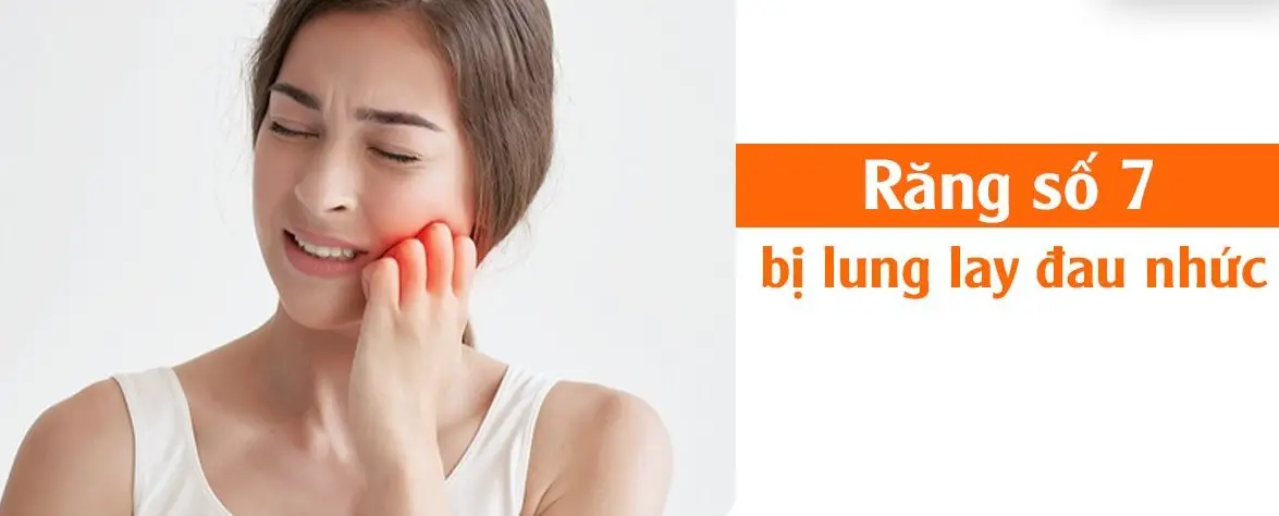 Đau Răng Số 7: Nguyên Nhân, Cách Giảm Đau Điều Trị Hiệu Quả