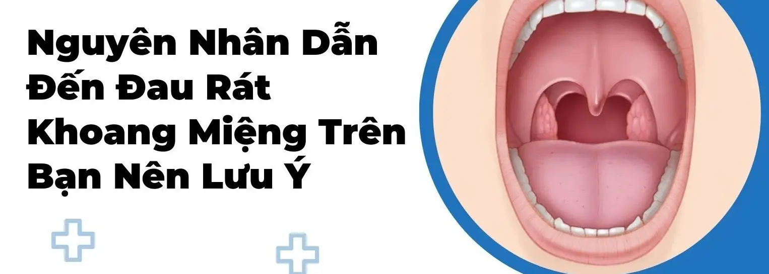 Nấm miệng là gì - Hiểu rõ để bảo vệ sức khỏe răng miệng Nấm Miệng Là Gì - Hiểu Rõ Để Bảo Vệ Sức Khỏe Răng Miệng
