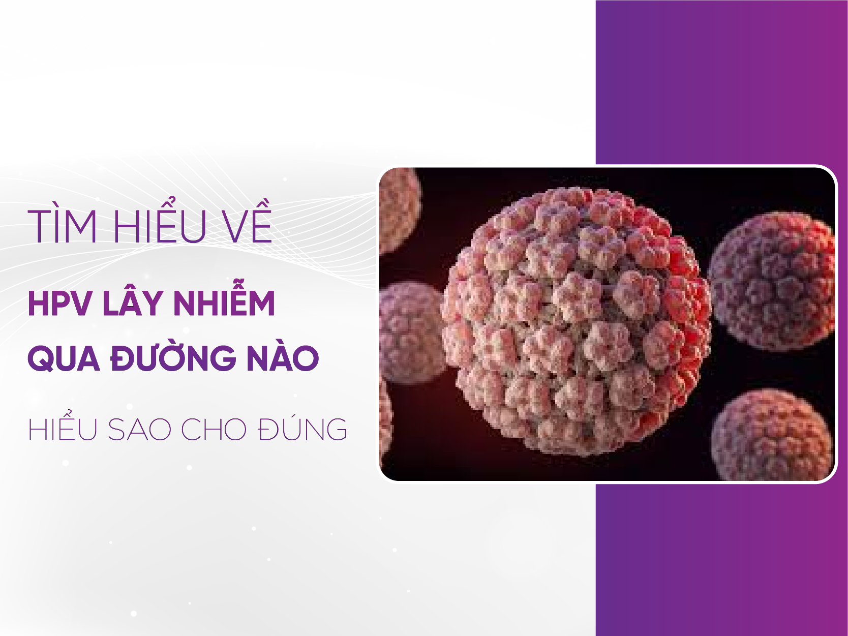 Hpv Lây Qua Đường Nào - Chìa Khóa Hiểu Rõ Và Bảo Vệ Bản Thân