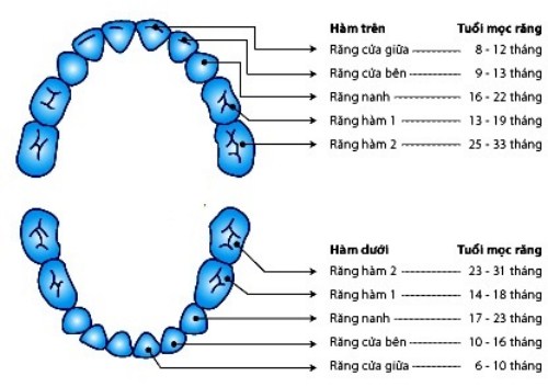 Trẻ thay răng sớm có tốt hay không?
